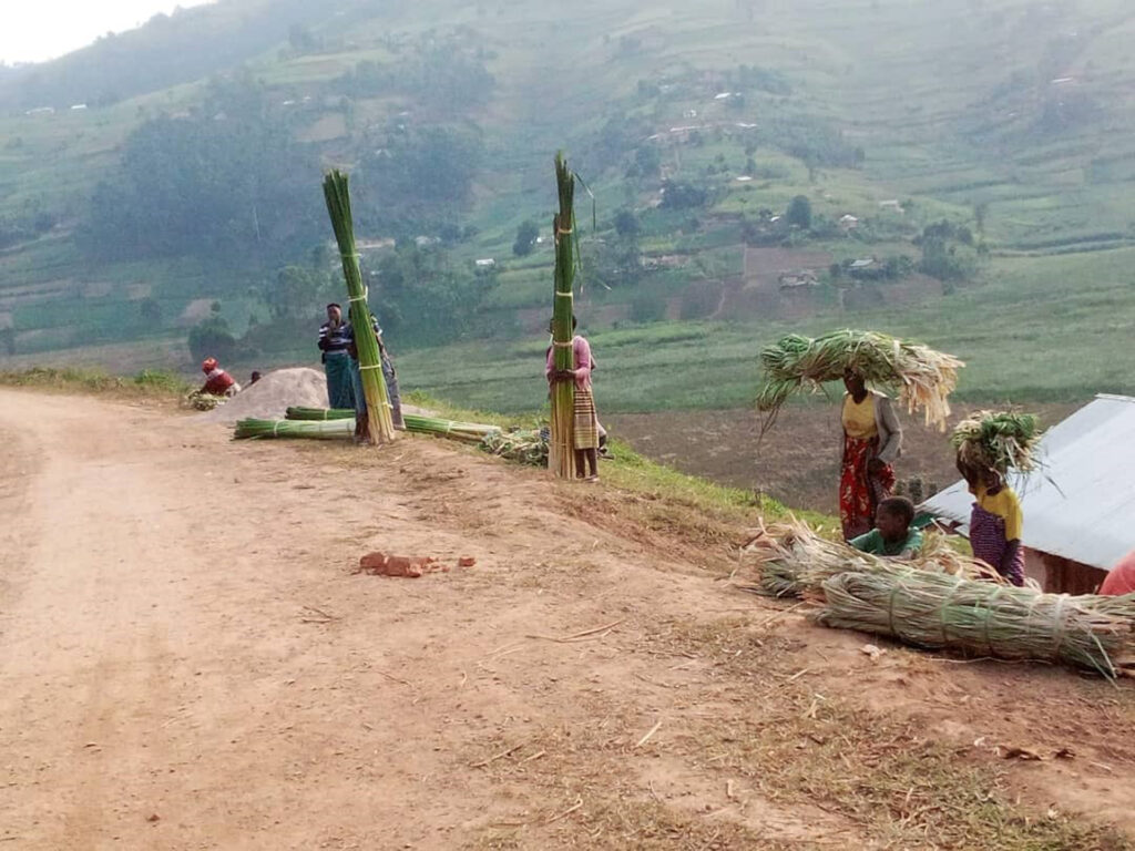 justus environment 02 15 04 2025 1024x768